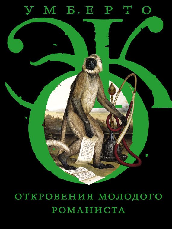 Обложка книги «Откровения молодого романиста»
