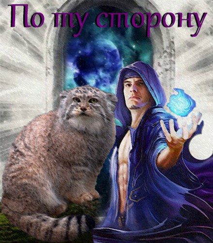 Обложка книги «По ту сторону»