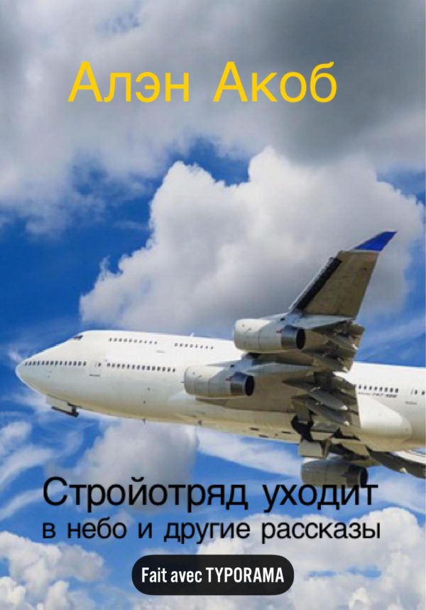 Обложка книги «Стройотряд уходит в небо»