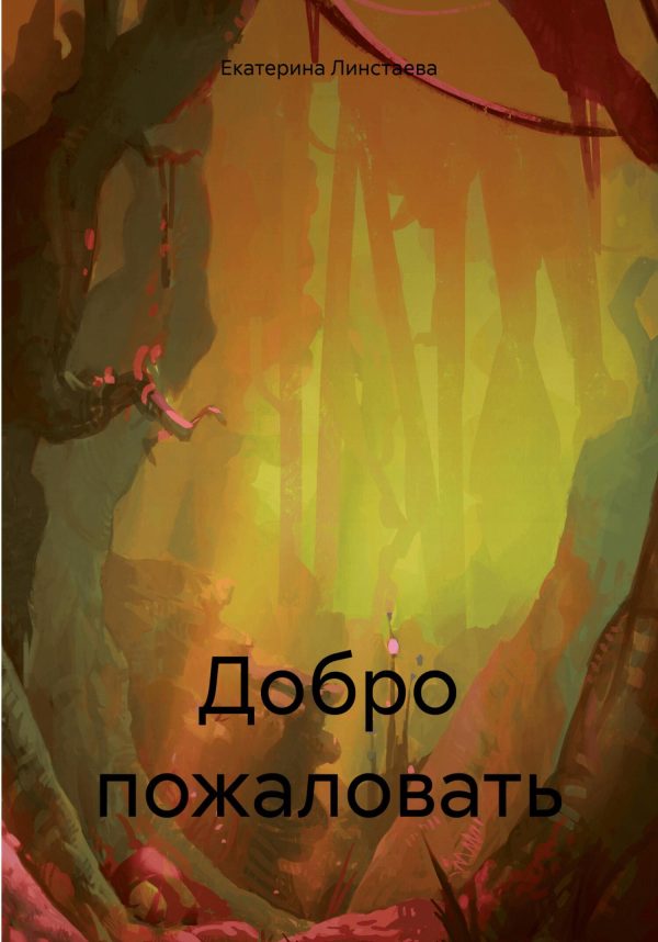 Обложка книги «Добро пожаловать»