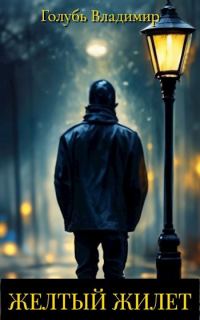 Обложка книги «Желтый жилет»