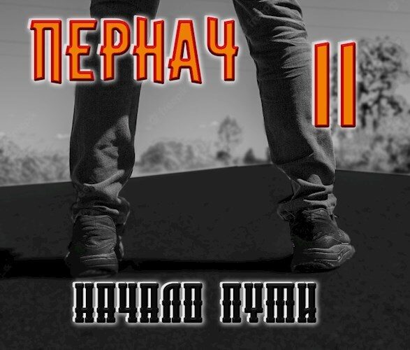 Обложка книги «Пернач II. Начало пути»