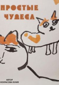 Обложка книги «Простые чудеса»