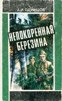 Обложка книги «Непокоренная Березина»