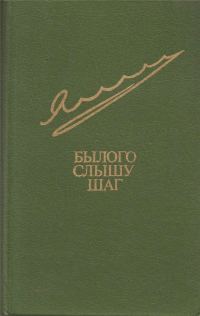 Обложка книги «Былого слышу шаг»