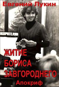 Обложка книги «Житие Бориса Завгороднего»
