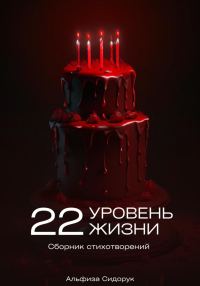 Обложка книги «22 уровень жизни»