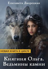 Обложка книги «Ведьмины камни»