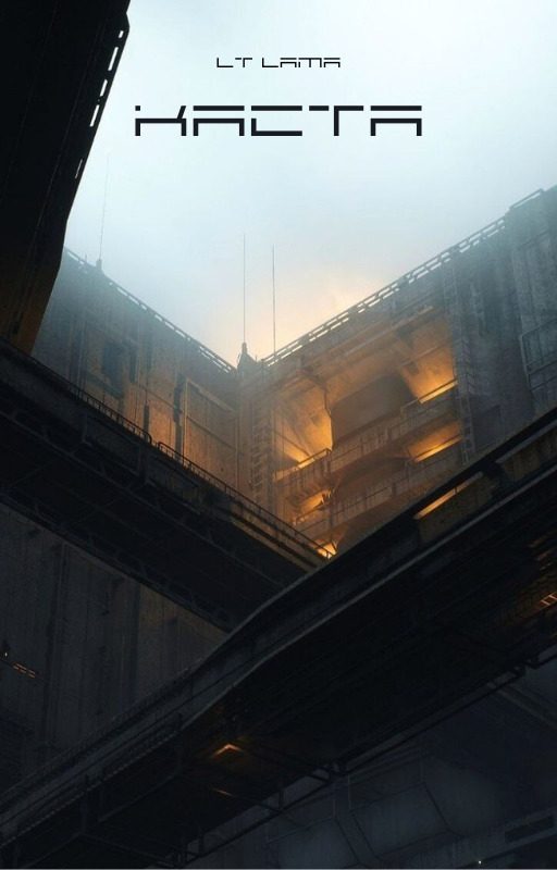Обложка книги «Каста»