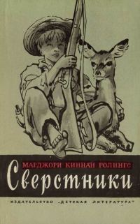 Обложка книги «Сверстники»