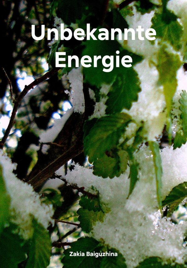 Обложка книги «Unbekannte Energie»