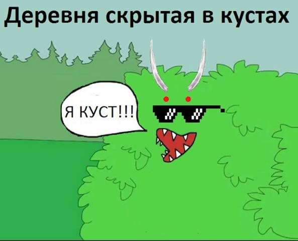 Обложка книги «Деревня скрытая в кустах»