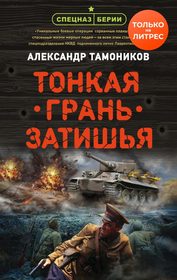 Обложка книги «Тонкая грань затишья»