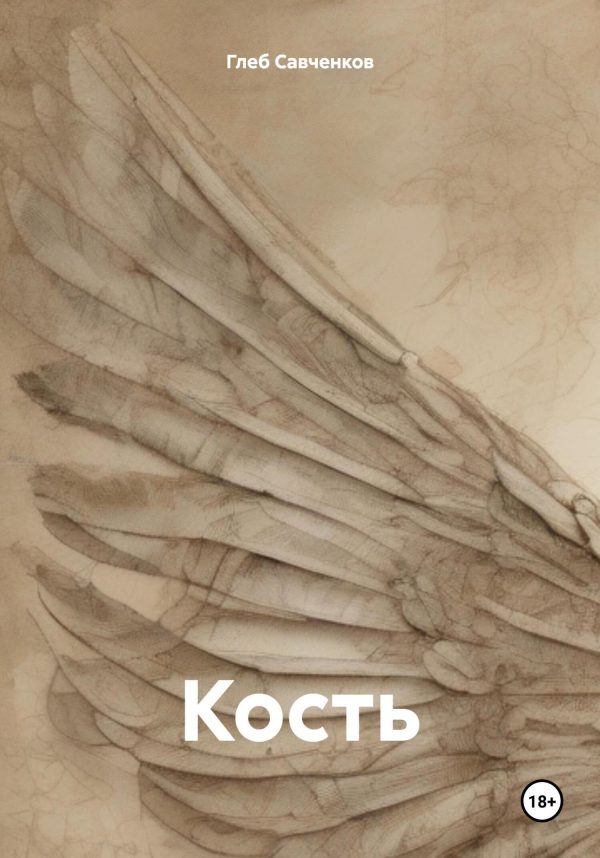 Обложка книги «Кость»