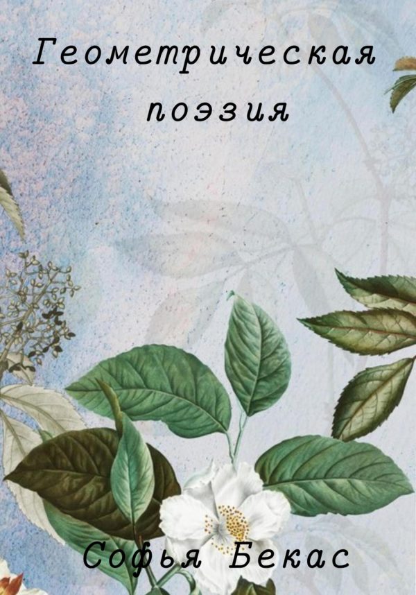Обложка книги «Геометрическая поэзия»