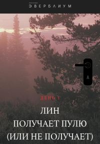 Обложка книги «Лин получает пулю (или не получает)»