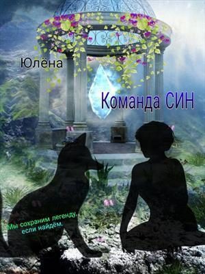 Обложка книги «Команда Син или, А вы как думали?»