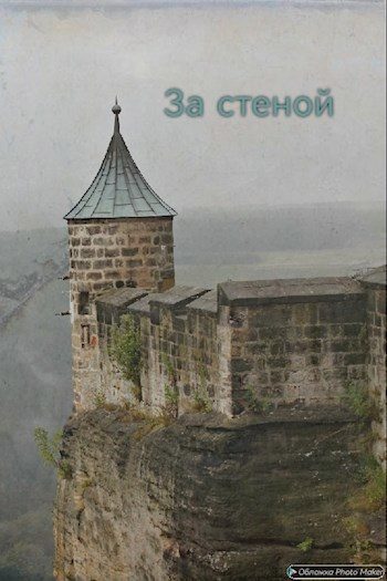 Обложка книги «За стеной»