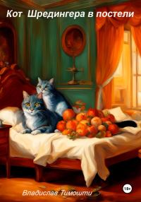 Обложка книги «Кот Шрёдингера в постели»