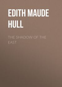 Обложка книги «The Shadow of the East»