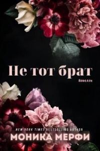 Обложка книги «Не тот брат»