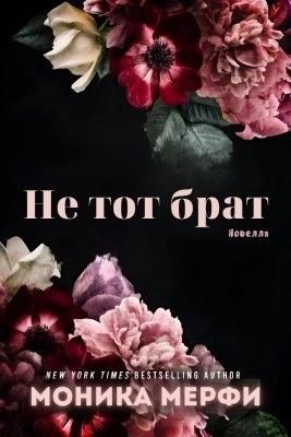 Обложка книги «Не тот брат»