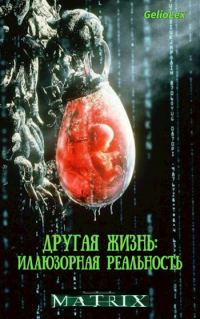 Обложка книги «Другая жизнь: Иллюзорная реальность»