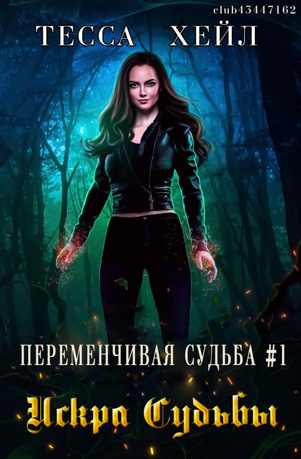 Обложка книги «Искра судьбы»