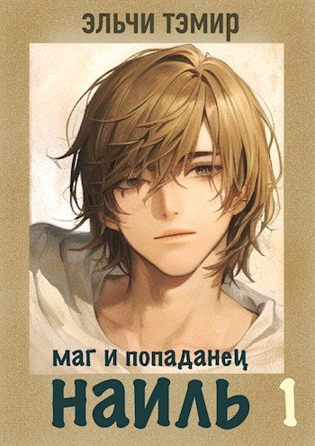 Обложка книги «Наиль. Маг и попаданец»