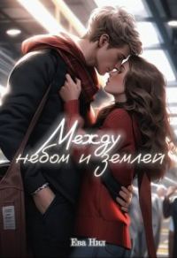 Обложка книги «Между небом и землей»
