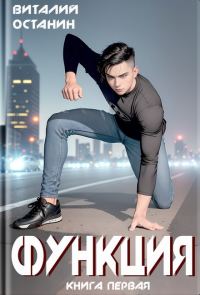 Обложка книги «Функция 1»