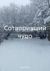 Обложка книги «Сотворивший чудо»