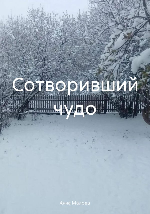 Обложка книги «Сотворивший чудо»