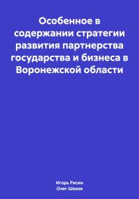 Обложка книги «Особенное в содержании стратегии развития партнерства государства и бизнеса в Воронежской области»