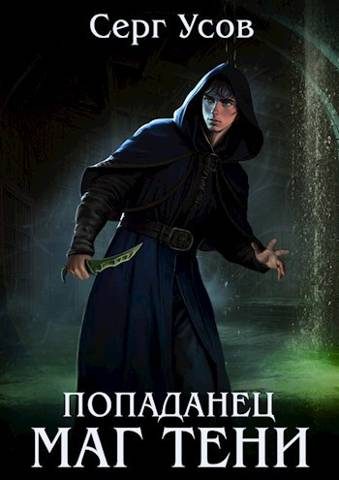 Обложка книги «Попаданец. Маг Тени. Книга 6»