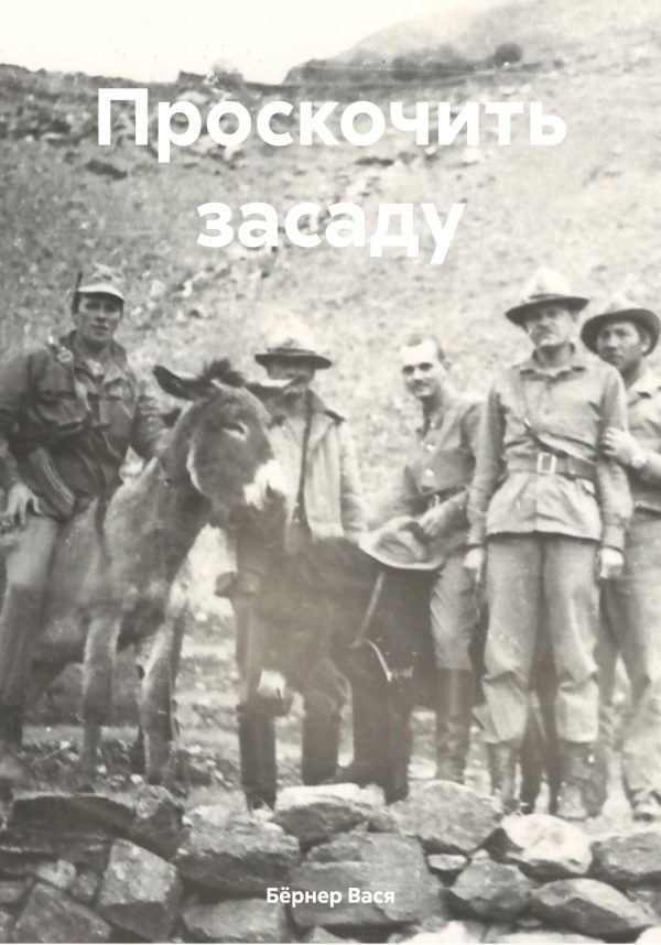 Обложка книги «Проскочить засаду»