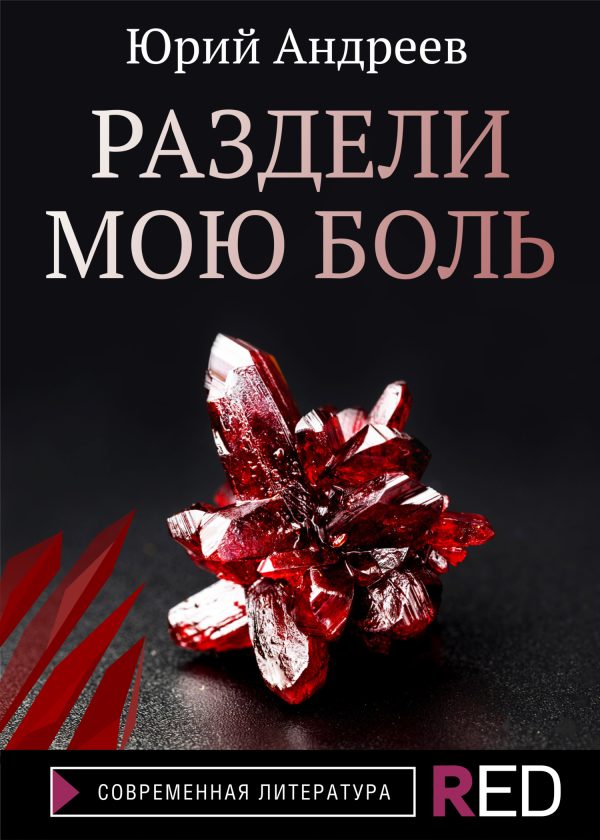 Обложка книги «Раздели мою боль»