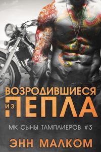 Обложка книги «Возродившиеся из пепла»