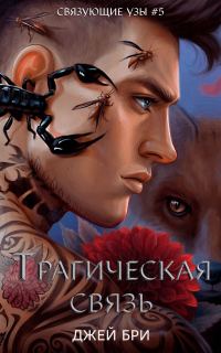 Обложка книги «Трагическая связь»