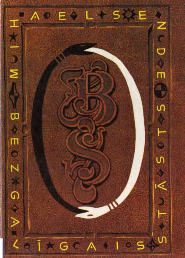 Обложка книги «Bezgalīgais stāsts»