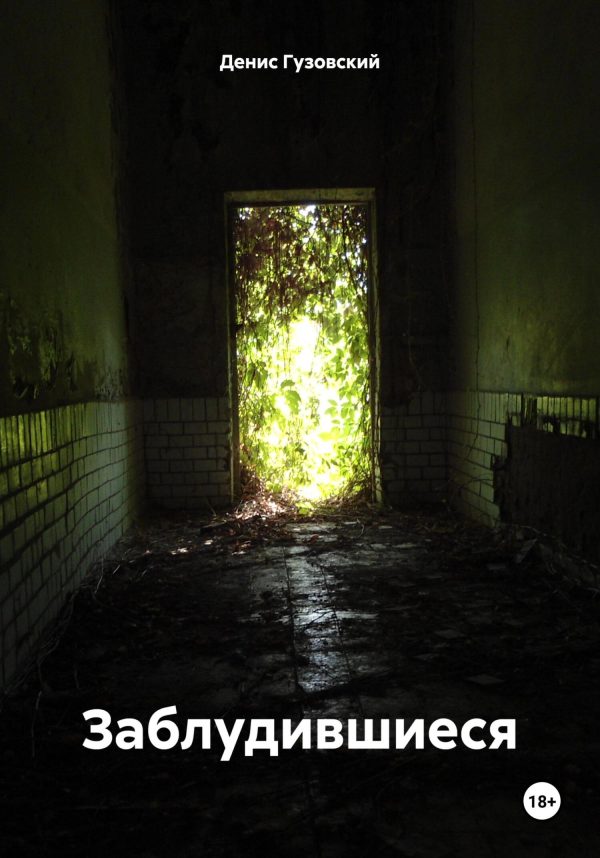 Обложка книги «Заблудившиеся»