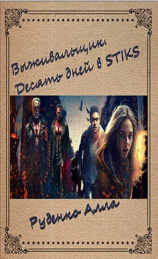 Обложка книги «Десять дней в STIKS»