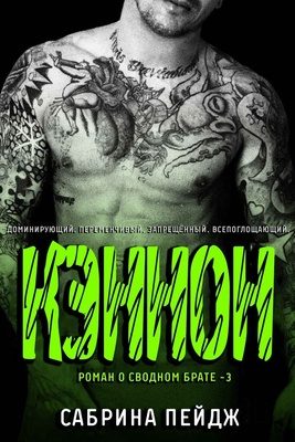 Обложка книги «Кэннон»