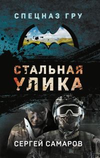 Обложка книги «Стальная улика»