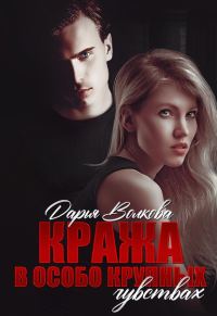 Обложка книги «Кража в особо крупных чувствах»