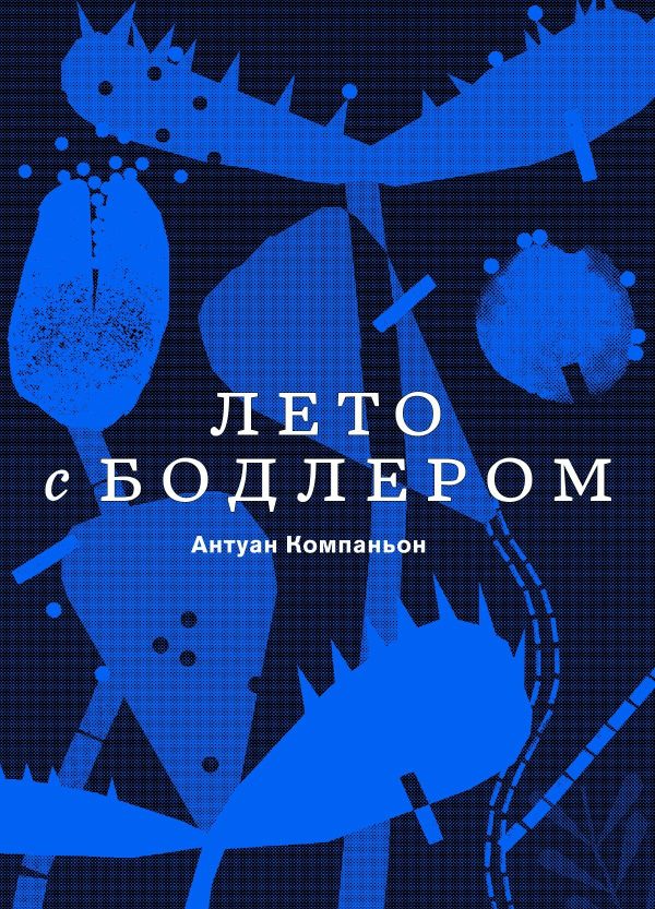 Обложка книги «Лето с Бодлером»