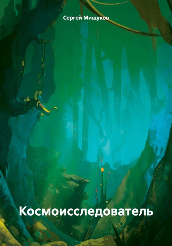 Обложка книги «Космоисследователь»