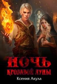 Обложка книги «Ночь кровавой луны»
