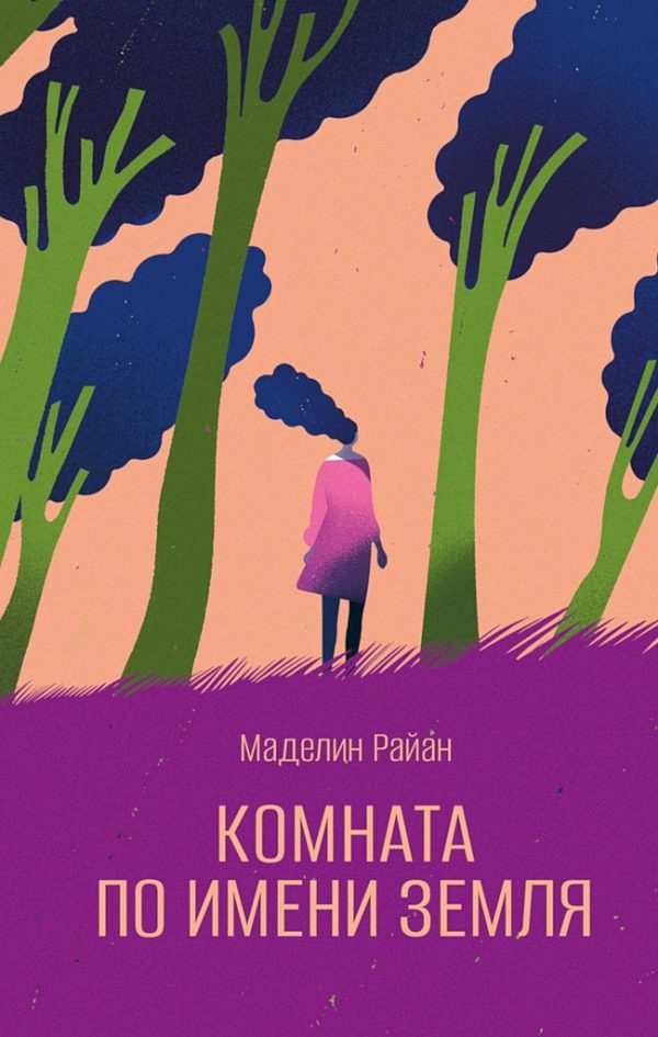 Обложка книги «Комната по имени Земля»