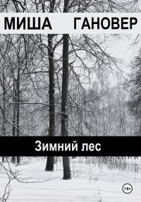 Обложка книги «Зимний лес»